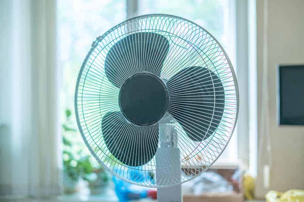 Standventilator im Zimmer (de.depositphotos.com) Standventilator im Zimmer (de.depositphotos.com)
